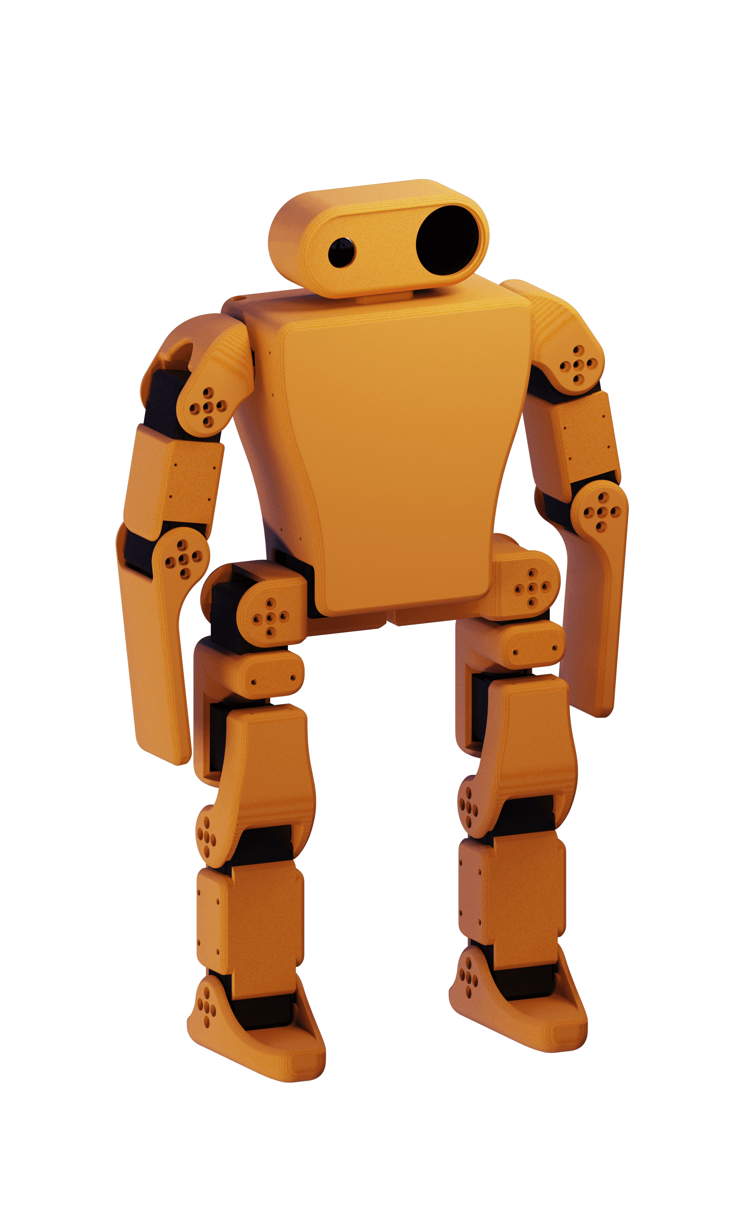 P-Bot
